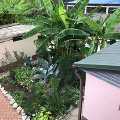 Гостевой дом НикОль, Сочи, Краснодарский край