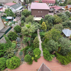 Гостевой дом НикОль, Сочи, Краснодарский край