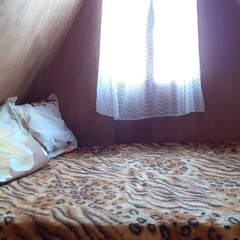 База отдыха Полинка, Хасанский район, Приморский край