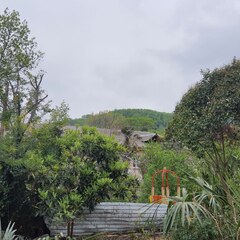 Гостевой дом Sea Loo на Азовской, Сочи, Краснодарский край