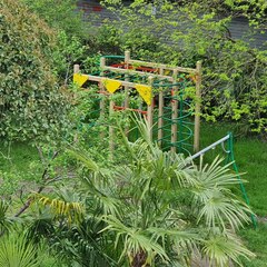 Гостевой дом Sea Loo на Азовской, Сочи, Краснодарский край