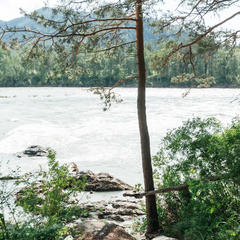 Усадьба Эра, Республика Алтай