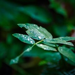 Отель Горный воздух, Гузерипль, Республика Адыгея