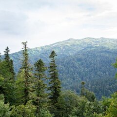 Отель Горный воздух, Гузерипль, Республика Адыгея