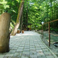 Отель Горный воздух, Гузерипль, Республика Адыгея