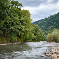 Отель Горный воздух, Гузерипль, Республика Адыгея