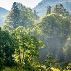 Отель Горный воздух, Гузерипль, Республика Адыгея