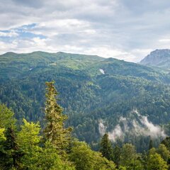 Отель Горный воздух, Гузерипль, Республика Адыгея