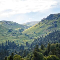 Отель Горный воздух, Гузерипль, Республика Адыгея