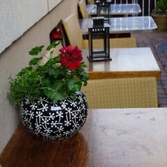 Гостевой дом Лилу, Геленджик, Краснодарский край