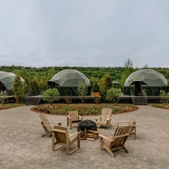 Глэмпинг Green Point, Московская область