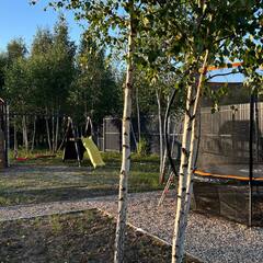 Глэмпинг Green Point, Московская область