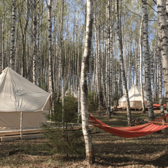 Глэмпинг Берег Грифона, Нижегородская область