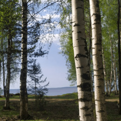 Глэмпинг Берег Грифона, Нижегородская область