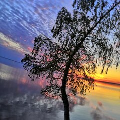 Глэмпинг Берег Грифона, Нижегородская область