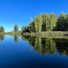 Глэмпинг Берег Грифона, Нижегородская область