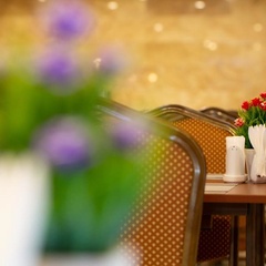 Отель Modart Olympic & Beach by Stellar Hotels, Краснодарский край