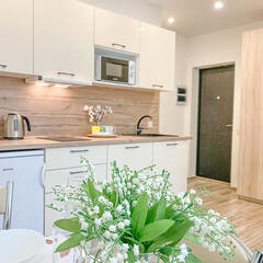 Апартаменты Sun City Apartments на ул. Ленина, Светлогорск, Калининградская область