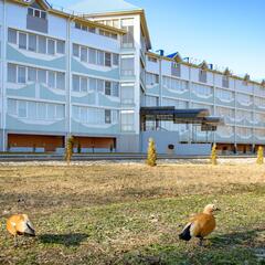 Отель Лагуна, Кисловодск, Ставропольский край