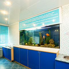 Санаторий Рассвет Любань, Минская область