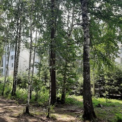 Санаторий Горный лен, Свердловская область