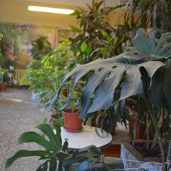 Санаторий Горный лен, Свердловская область