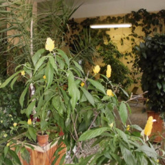 Санаторий Горный лен, Свердловская область