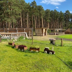 База отдыха Magic Wood, Челябинск, Челябинская область