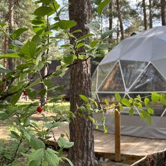 База отдыха Magic Wood, Челябинск, Челябинская область