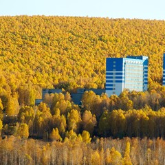 Санаторий Красноярское Загорье, Красноярский край