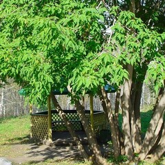 Санаторий Красноярское Загорье, Красноярский край