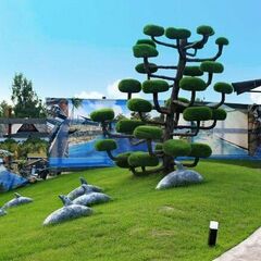 Спа-отель Dolphin Planet, Дубки (Ярославская область), Ярославская область