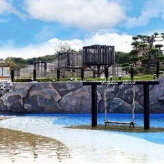 Спа-отель Dolphin Planet, Дубки (Ярославская область), Ярославская область