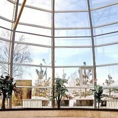 Спа-отель Dolphin Planet, Дубки (Ярославская область), Ярославская область