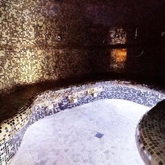 Спа-отель Dolphin Planet, Дубки (Ярославская область), Ярославская область