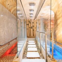 Спа-отель Dolphin Planet, Дубки (Ярославская область), Ярославская область