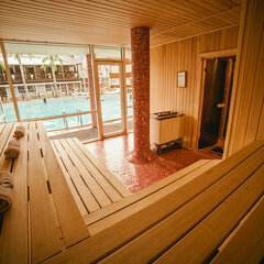 Спа-отель Dolphin Planet, Дубки (Ярославская область), Ярославская область