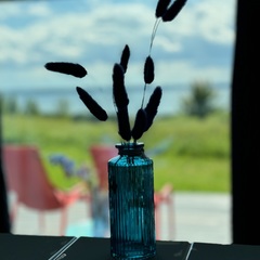 База отдыха Плещеево Хиллз, Ярославская область