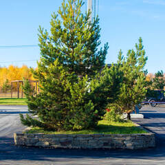 Коттеджный комплекс Подосинки-Парк, Тульская область