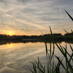 Коттеджный комплекс Подосинки-Парк, Тульская область