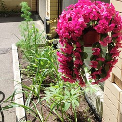 Мини-отель Эко Хаус, Ессентуки, Ставропольский край