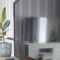 Мини-отель Эко Хаус, Ессентуки, Ставропольский край