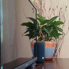 Мини-отель Эко Хаус, Ессентуки, Ставропольский край