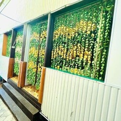 Гостевой дом Счастье у Моря, Сочи, Краснодарский край