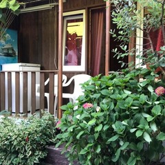 Гостевой дом Счастье у Моря, Сочи, Краснодарский край