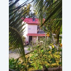 Гостевой дом Town park, Сочи, Краснодарский край