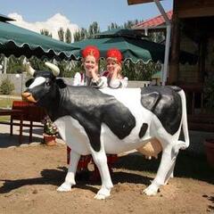 Центр отдыха Карвен 4 сезона, Иссык-куль