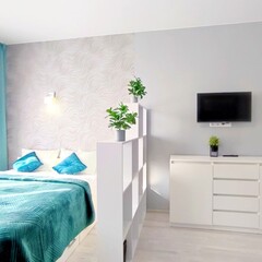 Апартаменты KenigDeluxe 2-хкомнатные у Королевских ворот, Калининград, Калининградская область