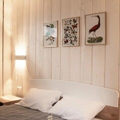 База отдыха Простор, Московская область