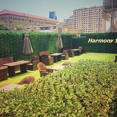 Гостиница Harmony Hotel, Баку